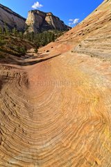 Geological landscape - Zion NP Utah USA