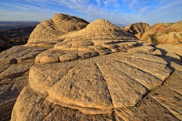 Mandala Navajo Sandstone - Yant Flat Dixie NF Utah USA