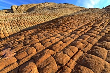 Navajo Sandstone Domes - Yant Flat Dixie NF Utah USA