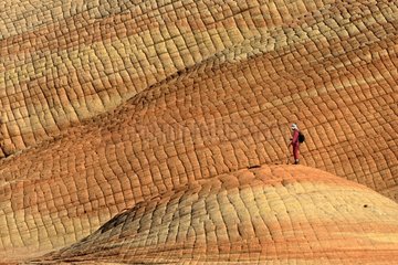 Exchequer Navajo Sandstone - Yant Flat Dixie NF Utah USA