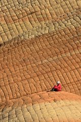 Exchequer Navajo Sandstone - Yant Flat Dixie NF Utah USA