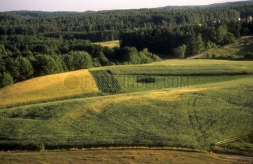 Fields anf forests in summer Kachoubia Poland