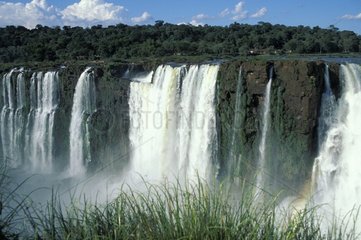 Falls of Iguaçu in the rain forest Parana Brazil
