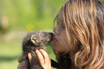 Girl kissing a young Fisher Marten Minnesota USA