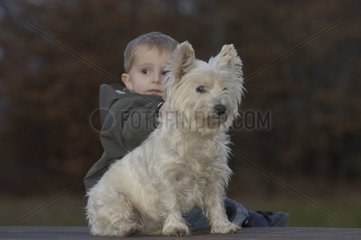 Garçon de 2 ans et sa chienne Westie assis sur une table