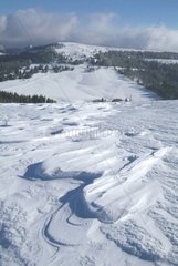 Schnee  geschnitzt vom Wind im Monts d'Ardèche Park