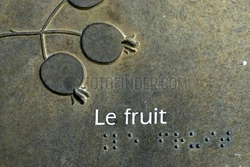 Panel 'fruit' in the garden of 5 Sens in Belfort