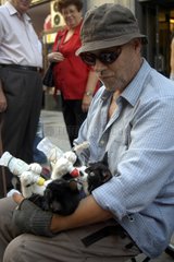 Homme nourrissant des chatons Espagne