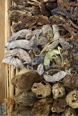Sale items for voodoo rituals market Benin