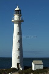 Lighthouse indicating the protection of Giant Cuttlefish