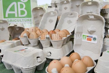 Boxes of eggs from an organic farming on a stall