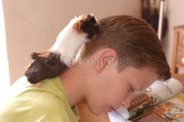 Enfant et cochon d'Inde tricolore sur la tête
