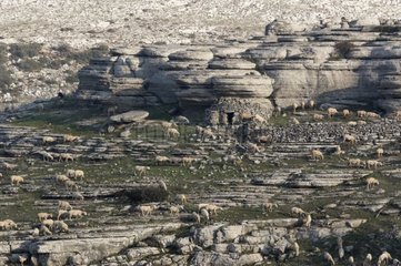 Zone of geological interest of the Torcal in Antequera Spain
