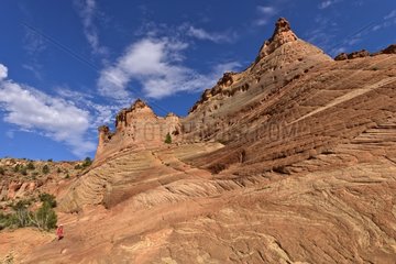 Dome Navajo sandstone - Grand Staircase-Escalante NM Utah