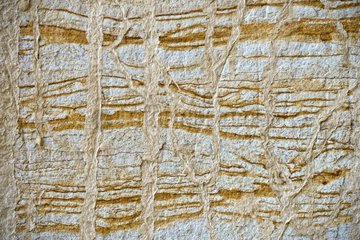 Clay designs on Sandstone - Grand Staircase-Escalante NM Utah
