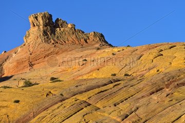 Yellow Rock Dome - Grand Staircase-Escalante NM Utah