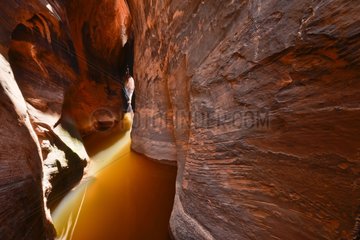 Tunnel Canyon - Grand Staircase-Escalante NM Utah