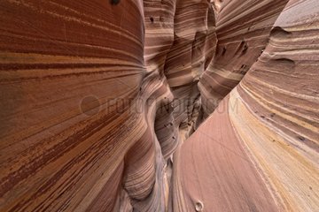 Zebra Canyon - Grand Staircase-Escalante NM Utah