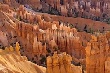 Geological landscape - Bryce Canyon NP Utah USA