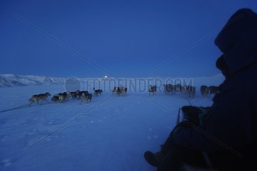 Kupplungshundschlitten beeilen Sie sich in Grönland