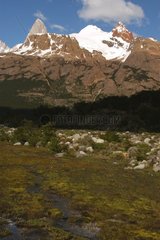 Monts Fitz Roy et Cerro Torre Patagonie Argentine