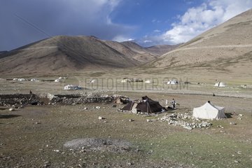 Camp of nomadic families - Himalayan highlands India