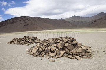 Yak dung drying - India Himalayan highlands