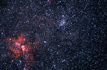 Nébuleuse de la Carène et amas ouvert NGC 3532