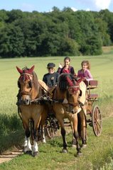 Hitch Horses Henson in the countryside - France
