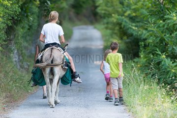 Hiking with donkeys - Cévennes France