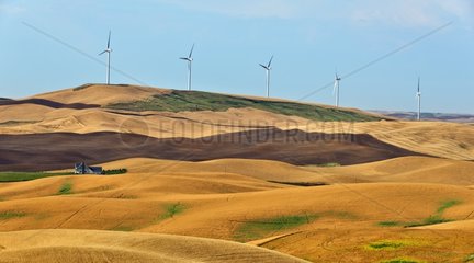 Windfarms loess hills planted cerales - Washington USA