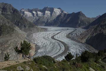 Aletsch Glacier - Bettmeralp Valais Switzerland