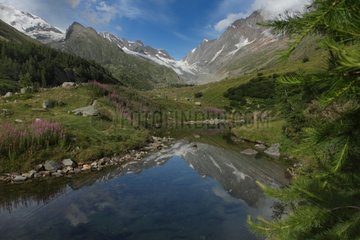 Loetschental - Fafleralp Valais Switzerland