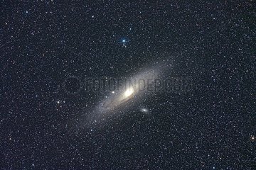 Die Andromeda M31 -Galaxie und zwei weitere kleine Galaxien