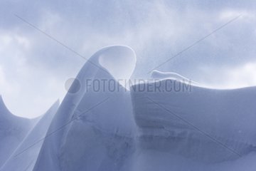 Snowdrift in winter Koshimizu Pass Hokkaido Japan