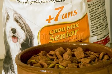 Croquettes for old dogs in a bowl France