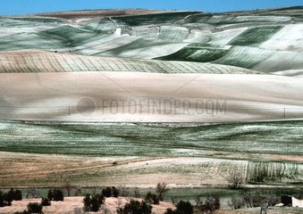 Agricultural Landscape Andalusia Spain