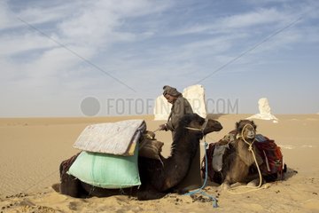 Trekking in the white desert Egypt
