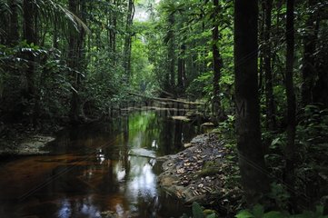 River in French Guiana
