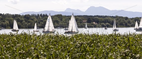 Sailing boats on Lake Chiemsee in Bavaria Germany