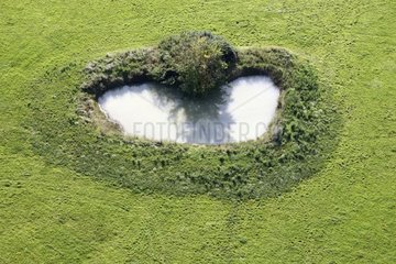 Valognes heart-shaped in a meadow Tarn France