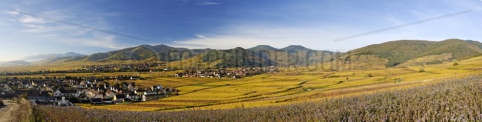 Dörfer und Weinberge des Elsass
