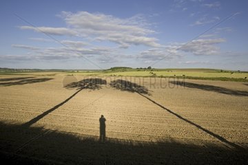 Shadows of two trees and a man on a field France
