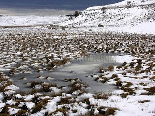 Landscape in winter with Aubrac