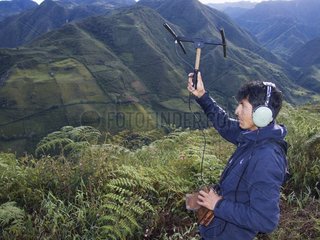 Biologist locating a Spectacled Bear at high altitude