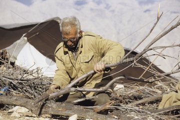 Man Qashqai making a shelter for hay for livestock Iran