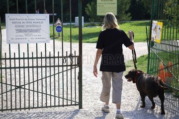 Volunteer walking with a dog from a refuge SPA France