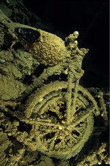 English motorcycle in the Thistlegorm wreck Red Sea