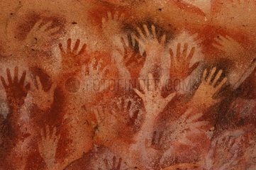 Peintures rupestres Cueva de las Manos Patagonie Argentine