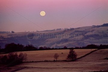Coucher de Lune à l'aube rosée après éclipse totale lunaire